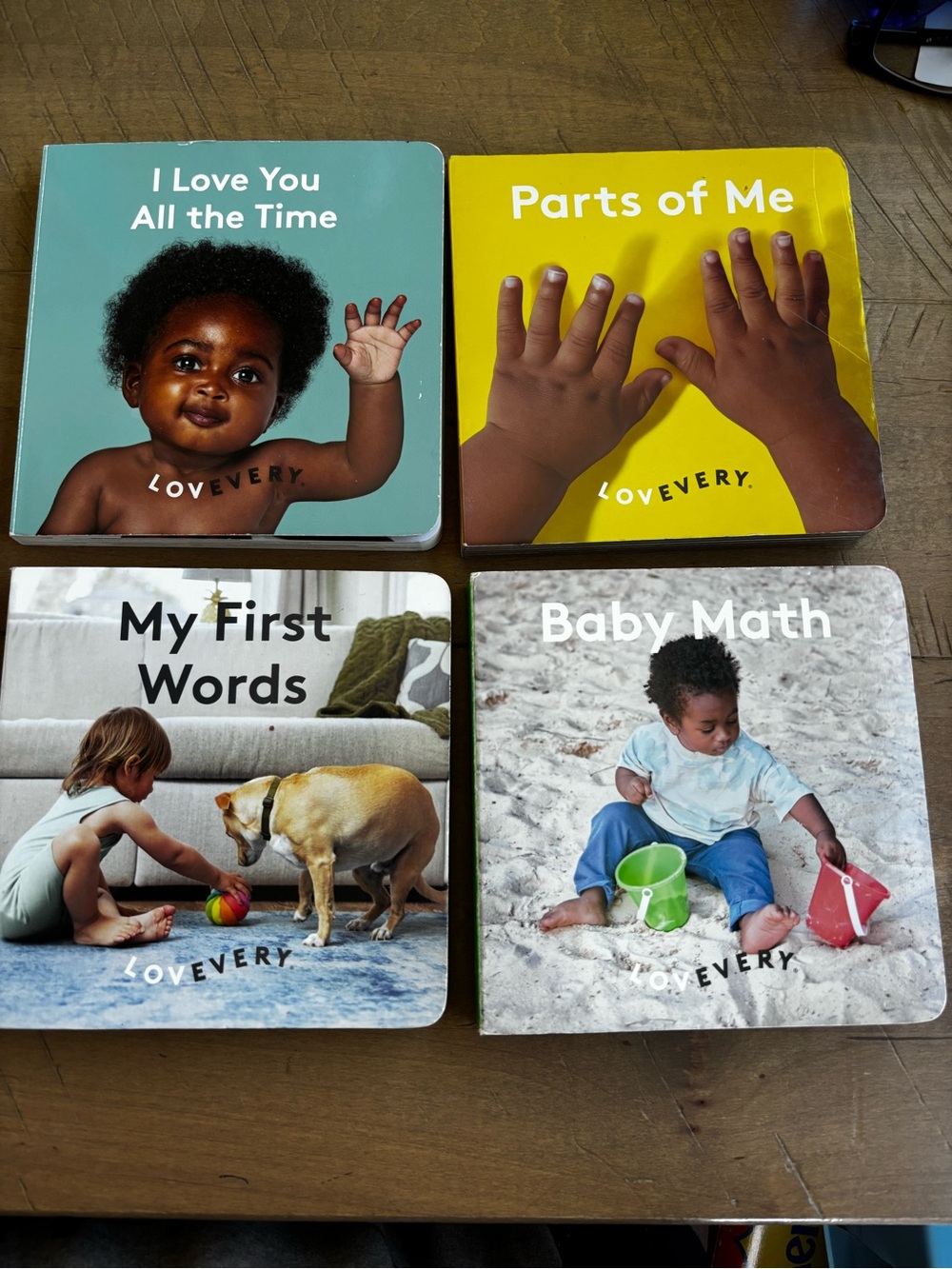 Lovevery Baby Book Lot